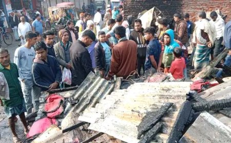 সুবর্ণচরে আগুনে পুড়লো ৬ টি দোকান