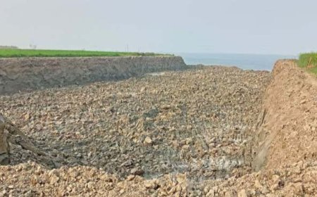 সদরপুরে রাতের আধারে পদ্মা পাড়ের মাটি যাচ্ছে ইট ভাটায়