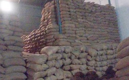 নওগাঁয় অবৈধ মজুদ ২৯১ টন চাল, ৩ লাখ টাকা জরিমানা