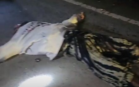 ফরিদপুরের নগরকান্দা উপজেলায় সড়ক দুর্ঘটনায় একজন নিহত 