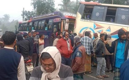 নগরকান্দায় সড়ক দুর্ঘটনায় একাধিক ব্যক্তি আহত