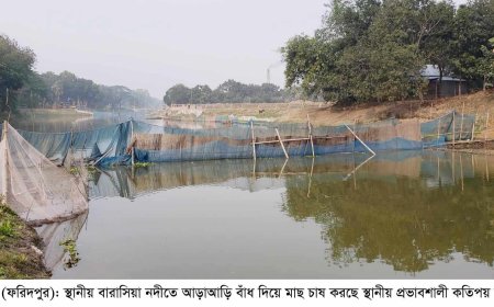 বোয়ালমারীর বারাসিয়া নদীতে আড়াআড়ি বাঁধ দিয়ে মাছ চাষ