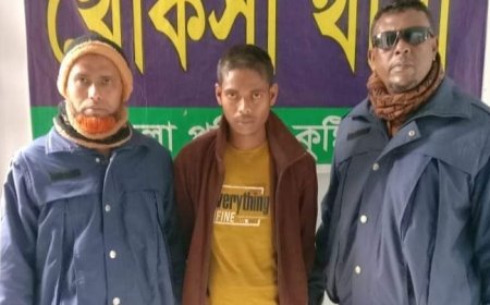খোকসায় দুই মহিষসহ চোর আটক