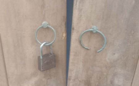 রুমায় দুধর্ষ চুরি