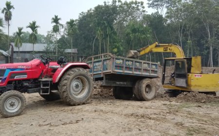সালথায় ফসলী জমির মাটি বিক্রির হিড়িক, হচ্ছে জমির শ্রেণি পরিবর্তন, ঘটছে দুর্ঘটনা