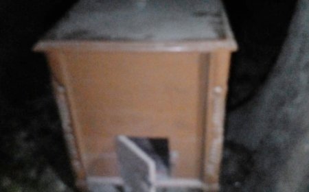 রথ খোলার দুর্গা মন্দির  লোকনাথ মন্দিরের দান বাক্স ভেঙ্গে  টাকা চুরি