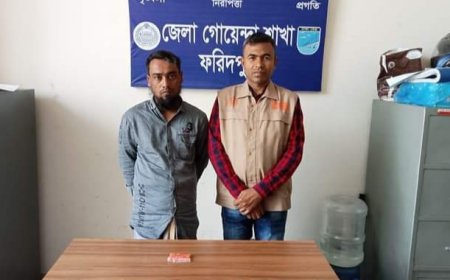 ফরিদপুরে ডিবি পুলিশের অভিযানে ৩২০ পিচ ইয়াবা  ট্যাবলেট সহ একজন গ্রেফতার