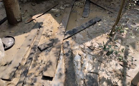 ফরিদপুরে বিদ্যুতিক শর্ট-সার্কিট থেকে অগ্নিকাণ্ড