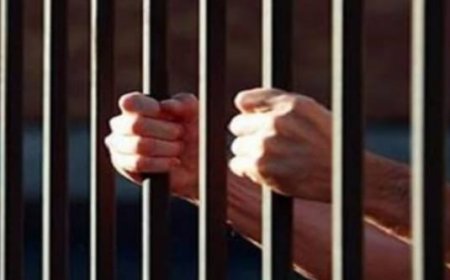 ফরিদপুরে আনসারুল্লাহ বাংলাটিমের এক সদস্যকে ৭ বছরের কারাদণ্ড