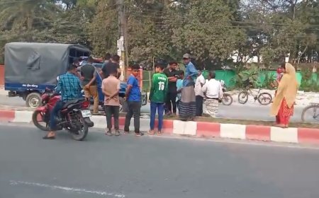 ফরিদপুরে রাস্তার ডিভাইডারের উপর থেকে নবজাতকের লাশ উদ্ধার