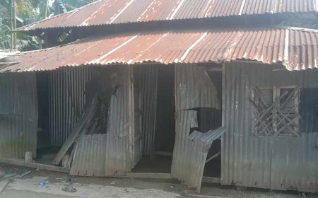 সালথায় গভীররাতে বাড়িতে হামলা, ভাংচুর, লুটপাট