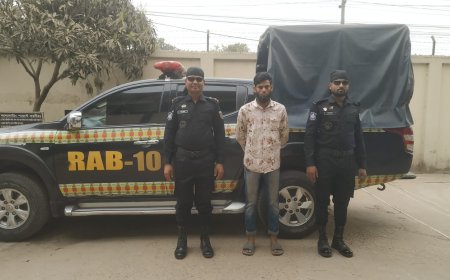 রাজবাড়ী হতে আগ্নেয়াস্ত্র সহ ‌একজনকে গ্রেফতার করেছে র‍্যাব-১০,সিসিসি ৩