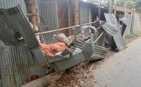 সালথায় হাট ইজারাকে কেন্দ্র করে প্রতিপক্ষের বাড়িতে হামলা, ভাংচুর, লুটপাট 