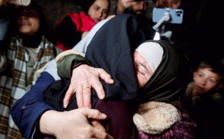 বন্দী থাকা ফিলিস্তিনি নারী ও মেয়েরা একাধিক ধরনের যৌন নিপীড়নের শিকার হয়েছে