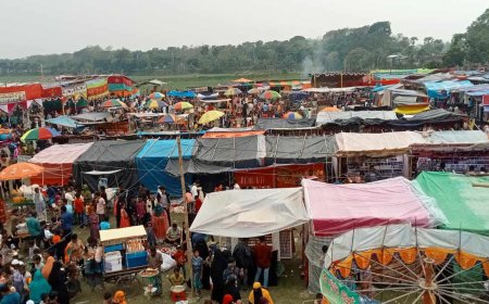 সালথায় মদন হাজীর ওরশের মেলায় চলছে অশ্লীল নৃত্য