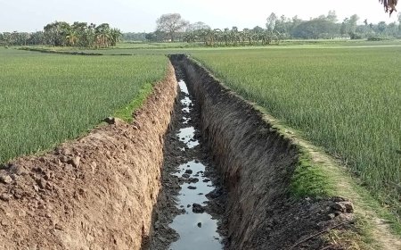 ইউপি সদস্য ফরিদের কাণ্ড: প্রকল্প ছাড়াই খাল খননের নামে মাটি বিক্রি 
