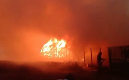 নগরকান্দায় ছাই তৈরীর কারখানা থেকে সৃষ্ট অগ্নিকাণ্ডে প্রায় ৩০ লাখ টাকার ফসলি জমির ফসল নষ্ট 