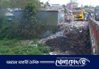 সালথা বাজারের প্রবেশ পথে ময়লার ভাগাড়, স্বাস্থ্য ঝুঁকিতে পথচারী  