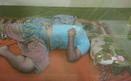 ফরিদপুরে পরিবহন সুপারভাইজারের লাশ উদ্ধার