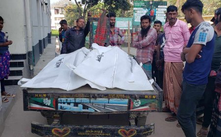 বোয়ালমারীতে সড়ক দুর্ঘটনায় নিহত-২, আহত ২