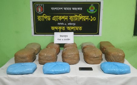 ৩৬ কেজি গাঁজাসহ এক মাদক ব্যবসায়ীকে ‌গ্রেফতার করেছে  র‍্যাব-১০