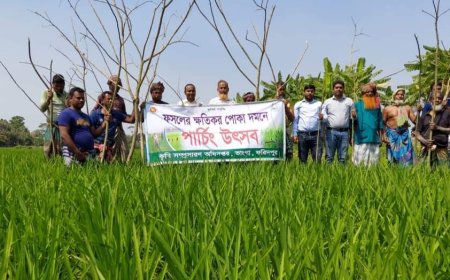 ভাঙ্গায় কৃষকদের নিয়ে পার্সিং উৎসব পালিত 