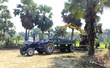 সালথায় ফসলি জমি হতে মাটি কাটার মহোৎসব 