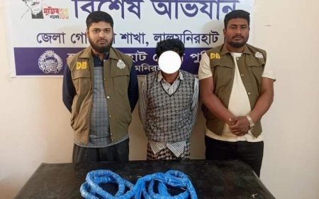 লালমনিরহাটে গাঁজা, ও বাইসাইকেলসহ গ্রেফতার-১