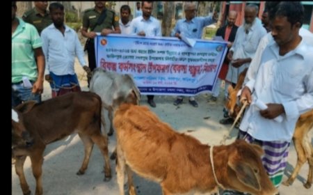 সদরপুরে মৎস্যজীবীদের মাঝে বকনা বাছুর বিতরণ  