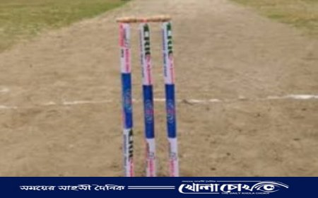 দ্বিতীয় বিভাগ ক্রিকেট লিগে ইলেভেন স্টার ও জাহাঙ্গীর মোল্লা একাদশ দলের জয়লাভ