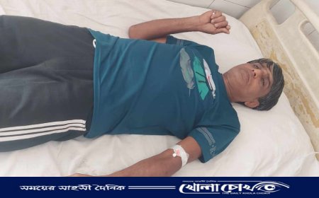 নির্বাচনী প্রতিহিংসার জেরে কালীগঞ্জে প্রতিপক্ষের হামলায় গুরুতর আহত স্বপন