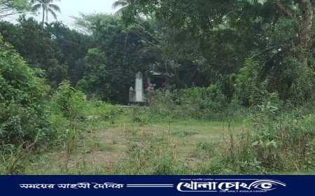 মুক্তিযুদ্ধে শহীদদের স্মরণে নির্মিত সমাধি সৌধ ঝাড়জংলায় আবৃত, অরক্ষিত!