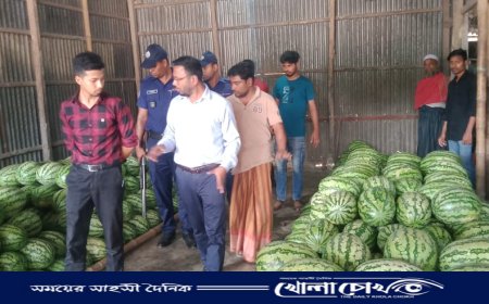 ফরিদপুরে তরমুজ এর আড়তে ভোক্তা অধিকারের অভিযান