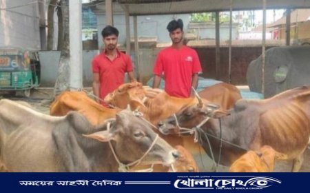 পুলিশ অভিযান চালিয়ে ২ গরু চোরকে গ্রেপ্তার,৫ টি গরু উদ্ধার