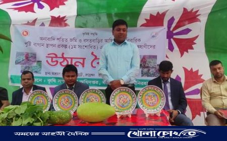 কালীগঞ্জে উঠান বৈঠকে চারা, বীজ,পুষ্টি প্লেট বিতরণ