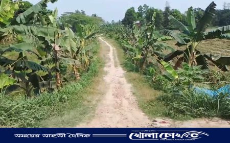 দক্ষিণ সোনারং এলাকার মাস্টার বাড়ীর মাটির কাঁচা রাস্তাটি সংস্কারের দাবি এলাকাবাসীর