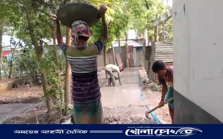 মুন্সীগঞ্জ জেলা পরিষদের বরাদ্দে সলিমাবাদে আরসিসি রাস্তা নির্মাণ