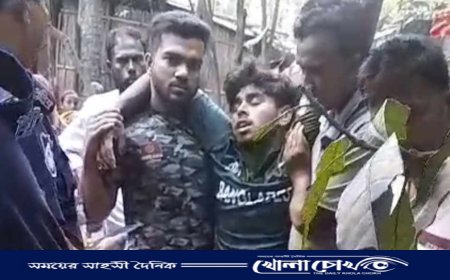 সালথায় কলেজ ছাত্রকে পিটিয়ে আহত