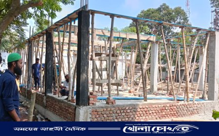 জাল দলিলে জমি দখলের অভিযোগ, সম্পত্তি ফিরে পাওয়ার আকুতি শহীদ বীর মুক্তিযোদ্ধা পরিবারের