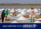 লবন উৎপাদনে ৬৩ বছরের রেকর্ড ছাড়িয়েছে 