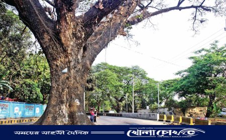 চট্টগ্রামে এলিভেটেড এক্সপ্রেসওয়ের র‍্যাম্প নির্মাণে কাটা হবে না শতবর্ষী গাছ 