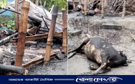 আগুনে কেড়ে নিলো গরীবের স্বপ্ন