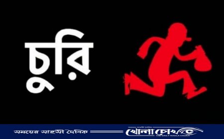 নীলটুলীর গোল্ডেন প্লাজায় চুরি সংঘঠিত