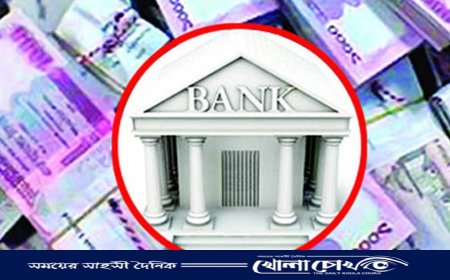 প্রশ্নবিদ্ধ দেশের ব্যাংকিং খাত, এর জন্য প্রধানত দায়ী দেশের বড় শিল্প প্রতিষ্ঠান গুলো