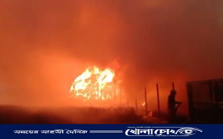 আত্রাইয়ে এক রাতে ৫ টি খড়ের পালায় আগুন আতংকে এলাকাবাসী