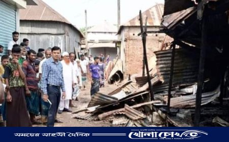 সালথায় অগ্নিকাণ্ডে ১২টি দোকান পুড়ে ছাই 