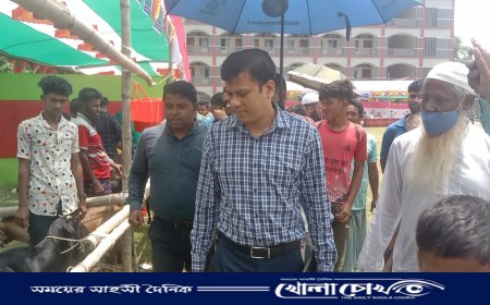 সালথায় প্রাণীসম্পদের সেবা সপ্তাহ উদ্বোধন 