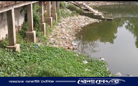 ব্রাহ্মণবাড়িয়ায় পুকুর থেকে পলিথিনে মোড়ানো নবজাতকের মরদেহ উদ্ধার