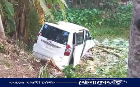 ফরিদপুরে মাইক্রোবাস-মাহিন্দ্রা সংঘর্ষে আহত চালকের মৃত্যু 