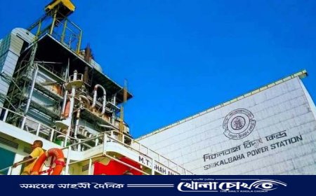 চট্টগ্রামের শিকল বাহা বিদ্যুৎ কেন্দ্রের মালামাল ও স্থাপনা নিলামে বিক্রির সিদ্ধান্ত 